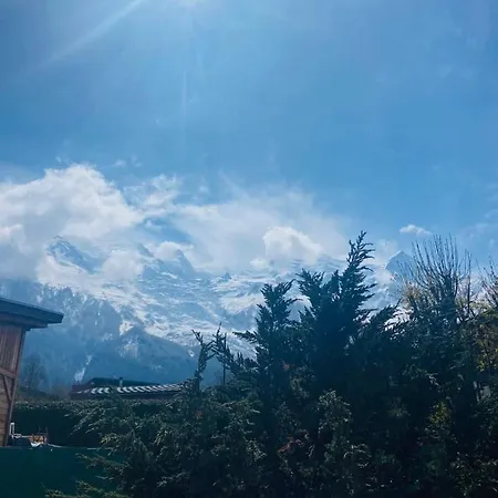 Шале Nice Chalet Near The Center Of Chamonix Шамони