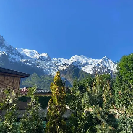 Шале Nice Chalet Near The Center Of Chamonix *